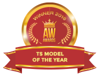 model of the year